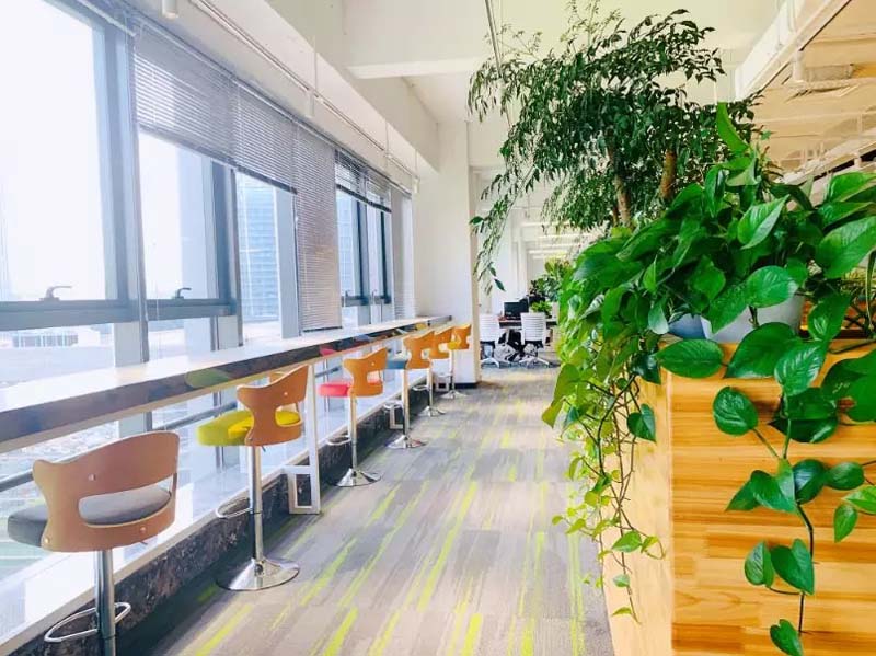 办公楼装修休闲区实景图